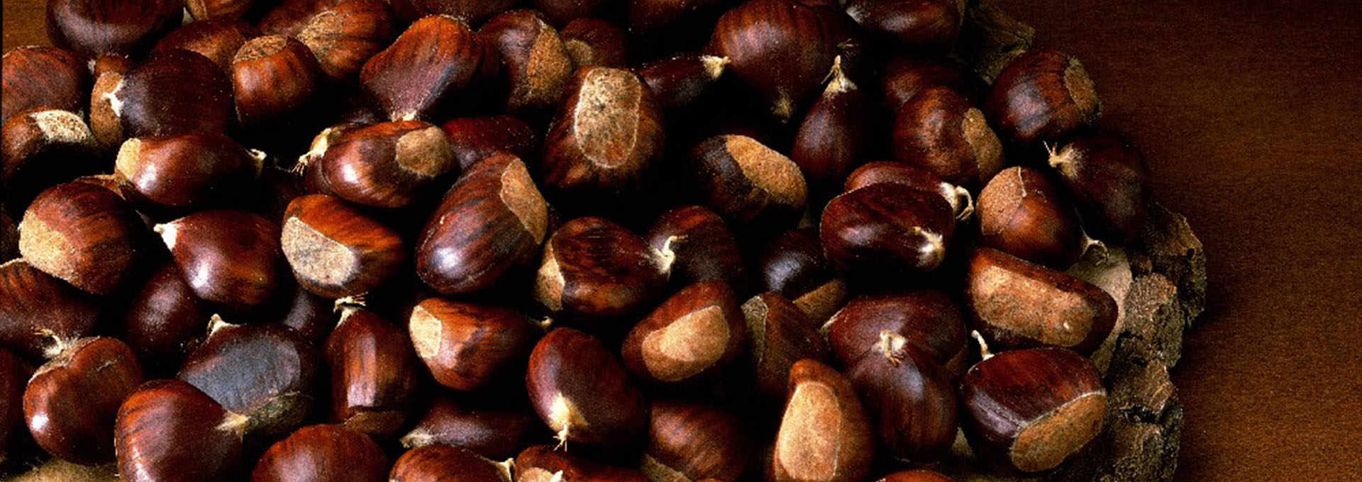 The Chestnut of Cuneo PGI