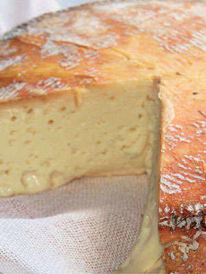 Morlacco del Grappa (cheese)