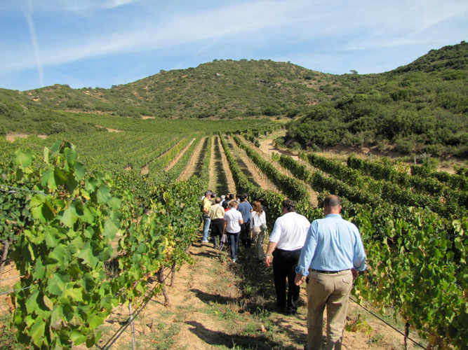 The Marsala Wine Road in Western Sicily brings together the interconnectedness of tradition and culture within Sicily’s history. 