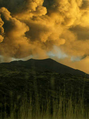 The Wine Route of Etna