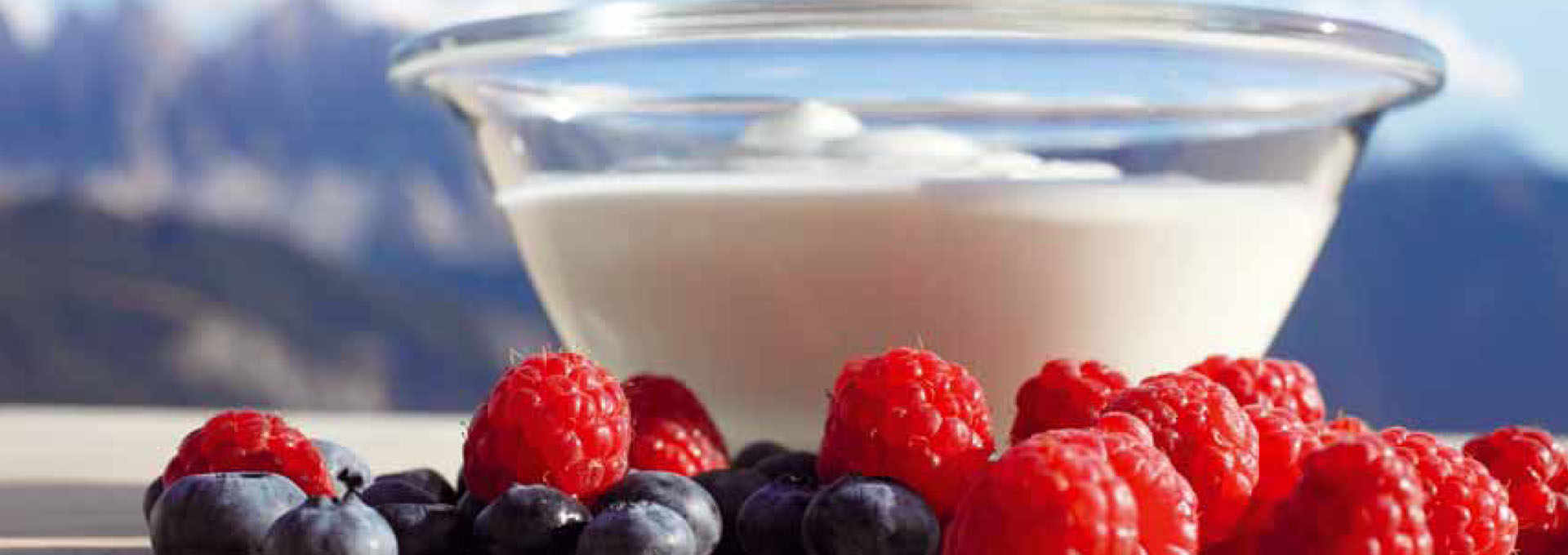 Alto Adige Yogurt, Healthy and Tasty