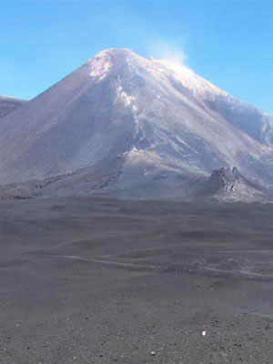 The Treasures of Mt. Etna, Wine and Truffles