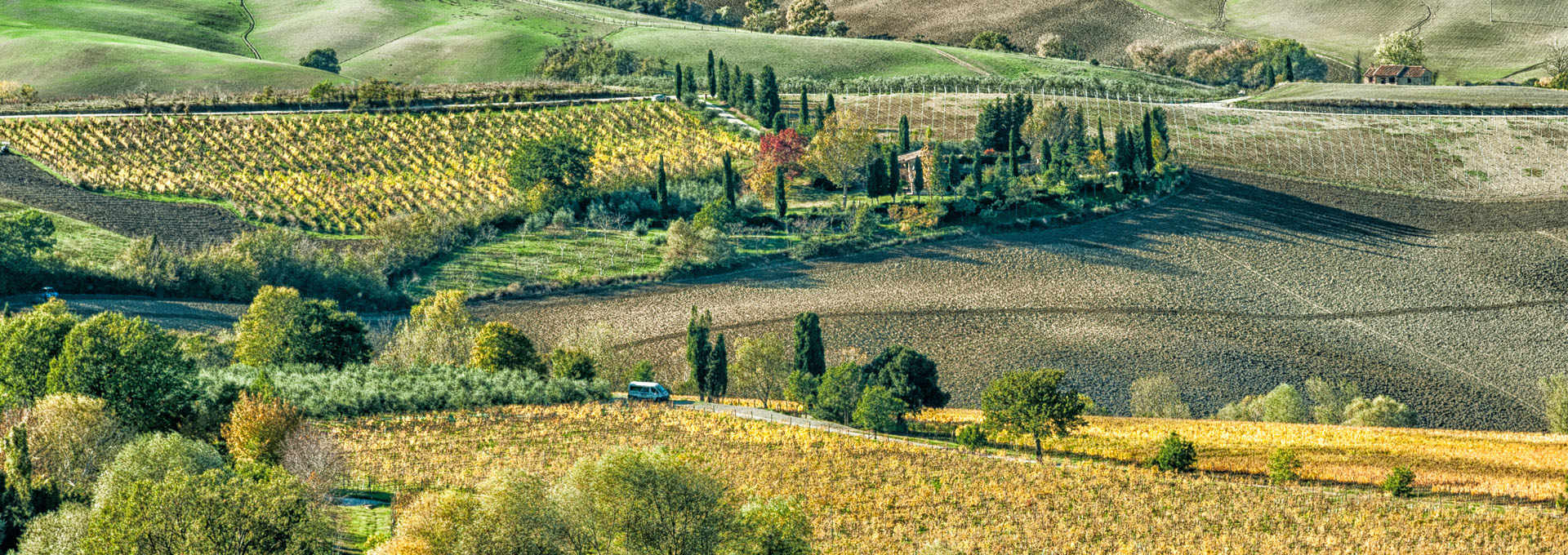 Val di Chiana. Art, Nature and Fine Eating