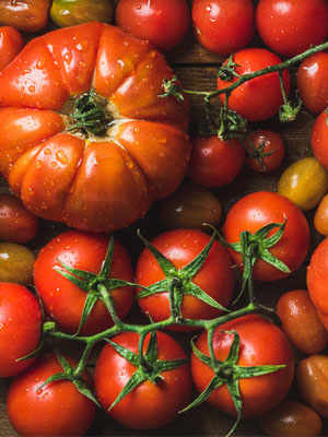 The Tomatoes of Pachino