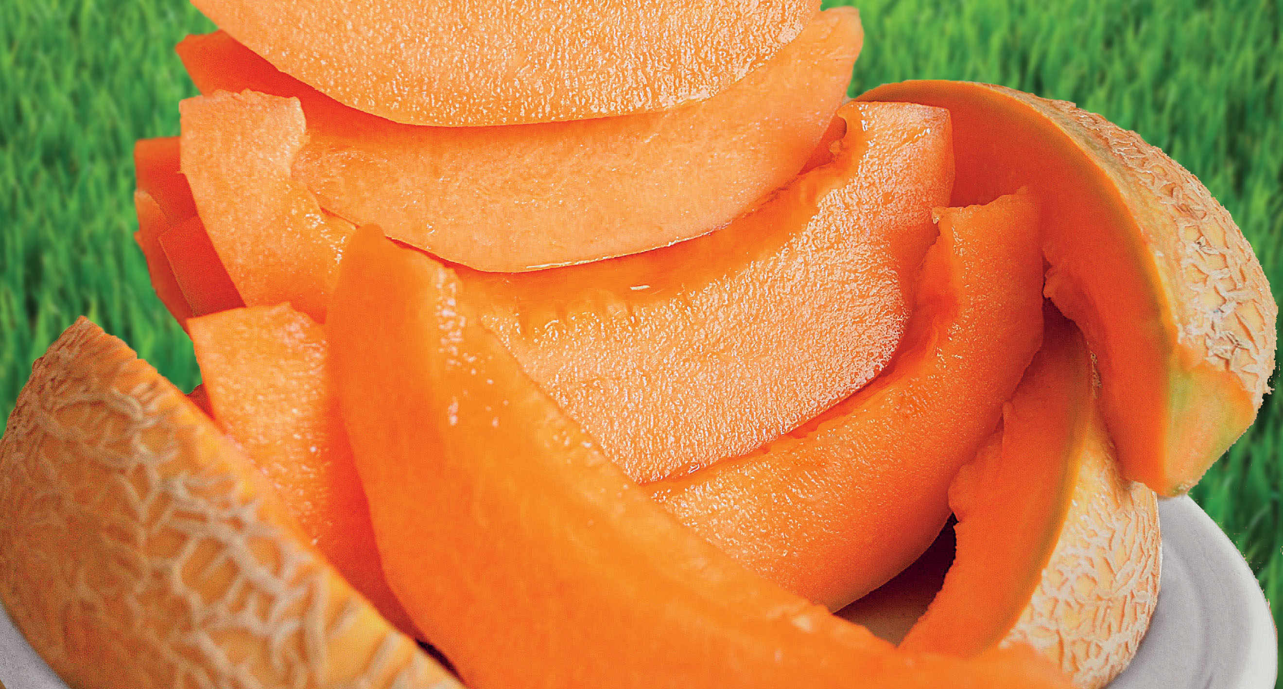 The Mantua Melon PGI