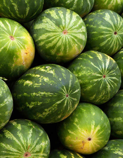 Watermelon,  a juicy summer fruit.