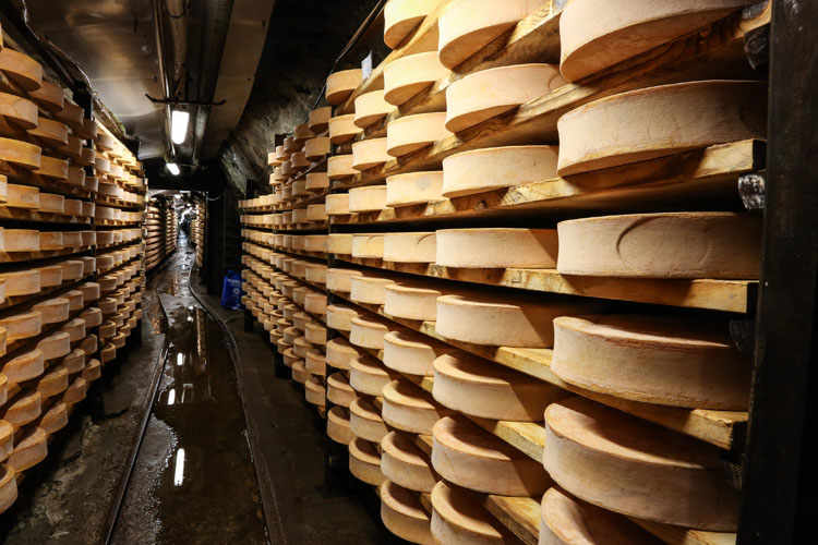 Valdigne: Wines and Fontina Cheese