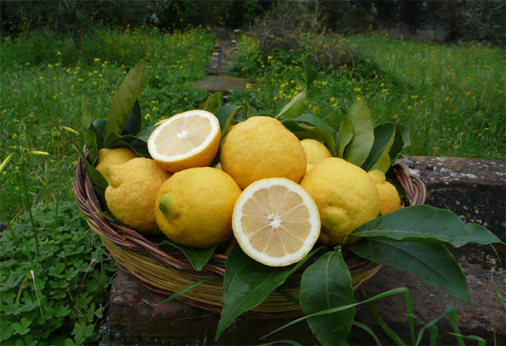The Etna Lemon