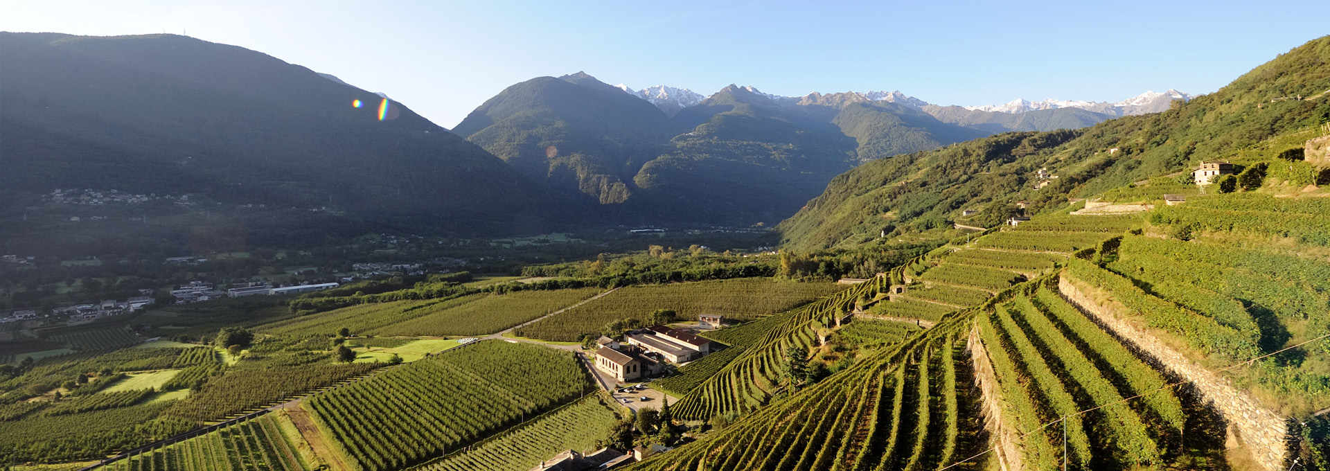 Valtellina Red Wines