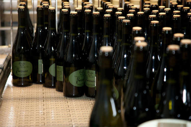 The Riondo Winery